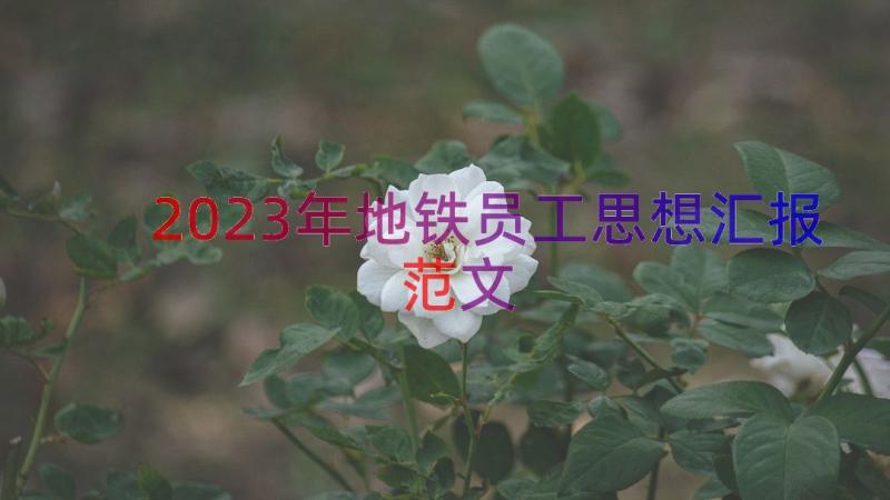 2023年地铁员工思想汇报范文（12篇）