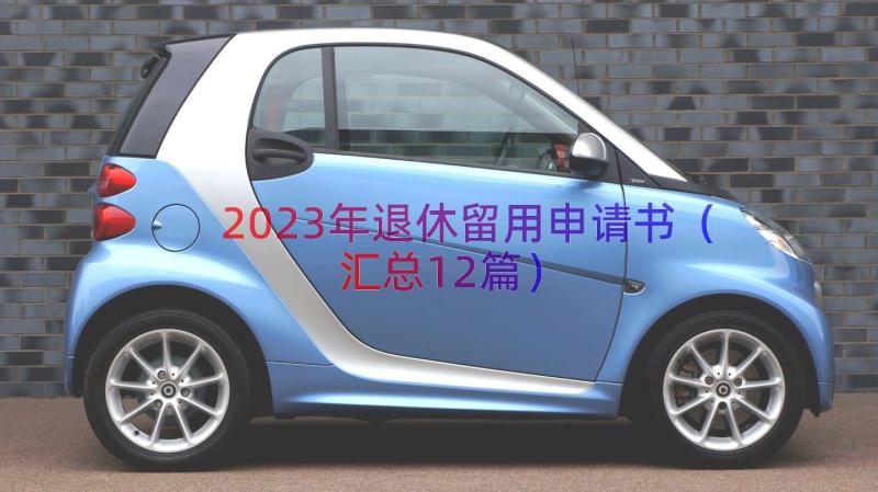 2023年退休留用申请书（汇总12篇）