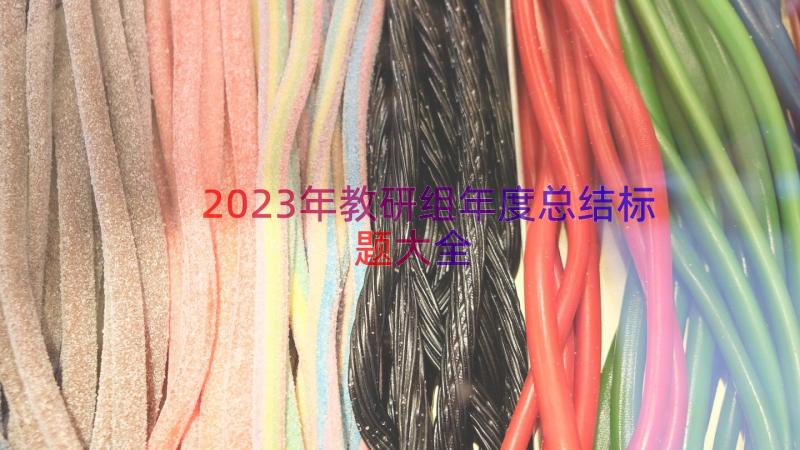 2023年教研组年度总结标题大全（17篇）