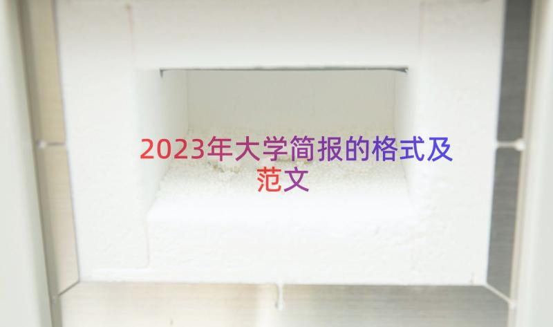 2023年大学简报的格式及范文（15篇）