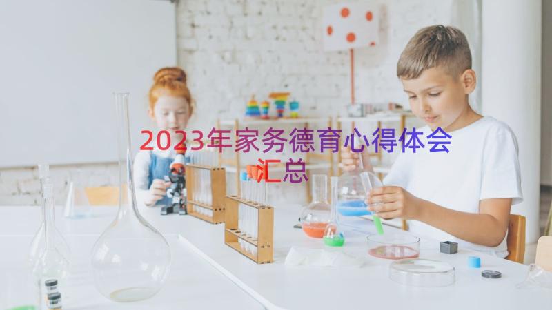 2023年家务德育心得体会（汇总12篇）