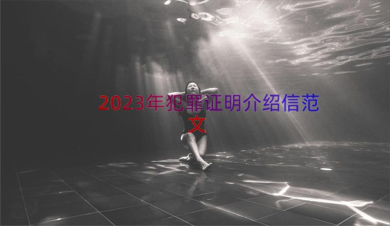 2023年犯罪证明介绍信范文（21篇）