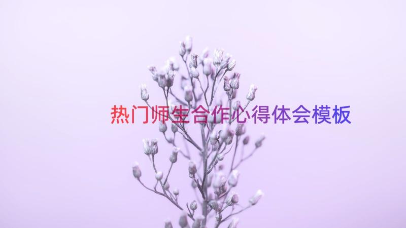 热门师生合作心得体会（模板18篇）