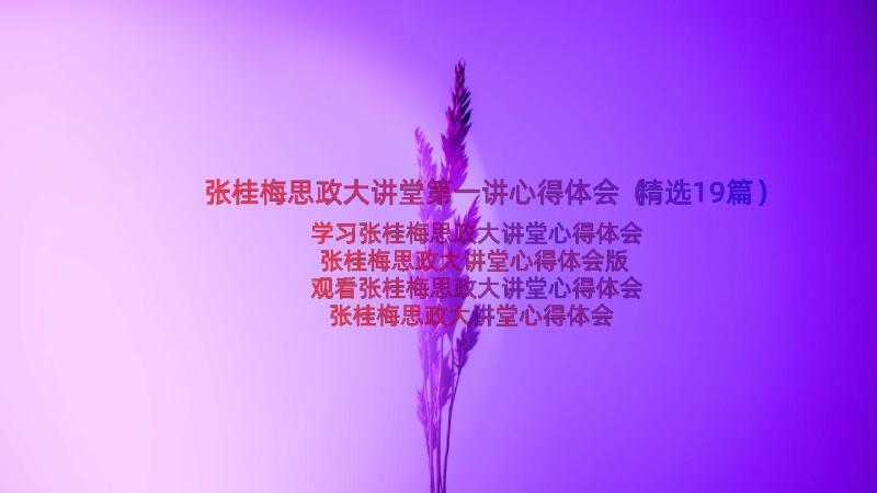 张桂梅思政大讲堂第一讲心得体会（精选19篇）