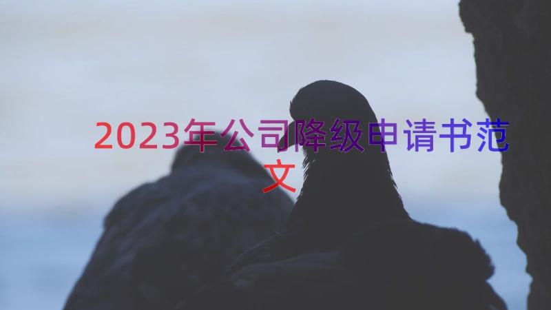 2023年公司降级申请书范文（15篇）