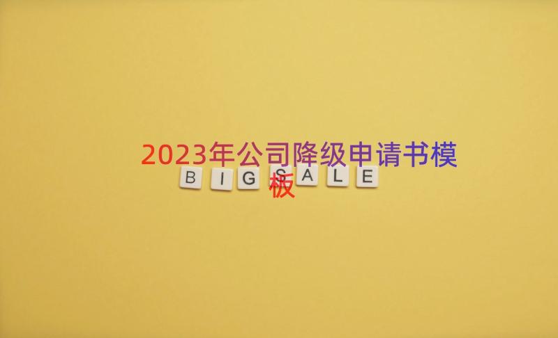 2023年公司降级申请书（模板19篇）