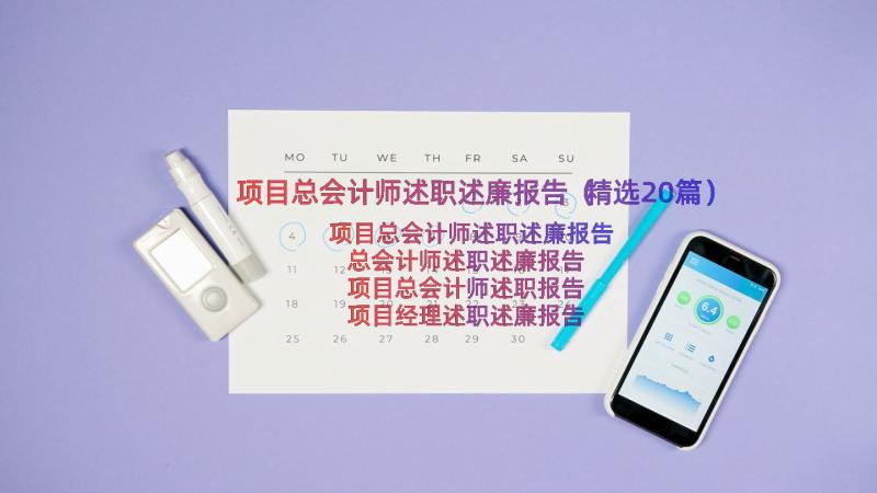 项目总会计师述职述廉报告（精选20篇）