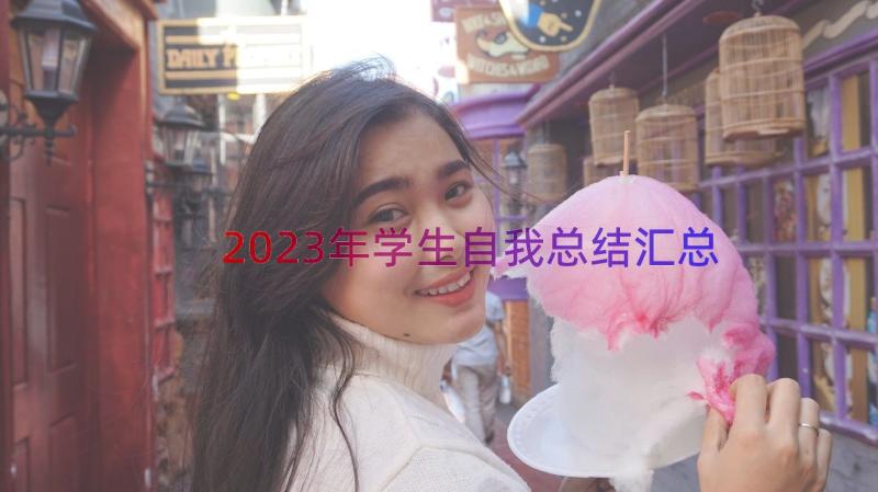 2023年学生自我总结（汇总17篇）