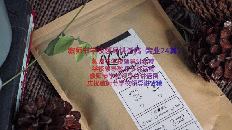 教师节学校领导讲话稿（专业24篇）