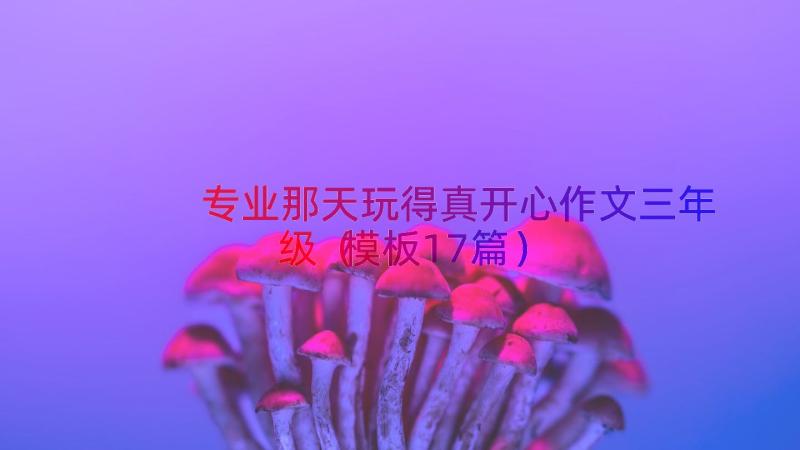 专业那天玩得真开心作文三年级（模板17篇）