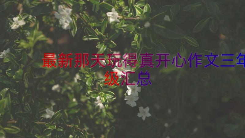 最新那天玩得真开心作文三年级（汇总14篇）