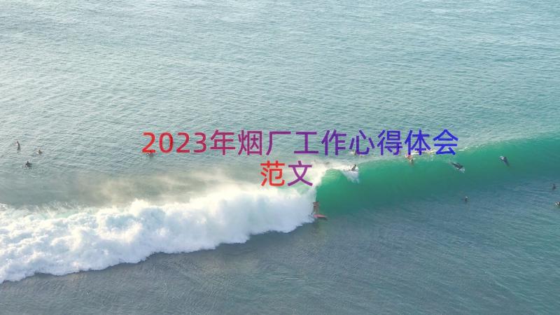 2023年烟厂工作心得体会范文（18篇）