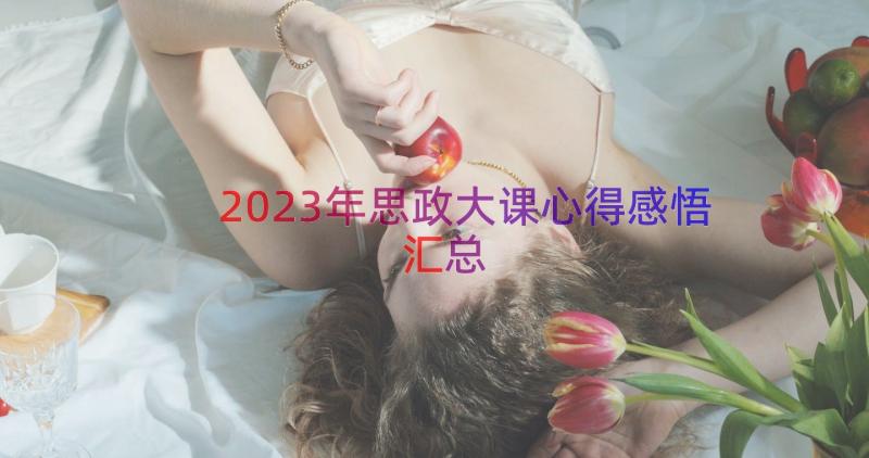 2023年思政大课心得感悟（汇总17篇）