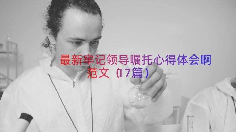 最新牢记领导嘱托心得体会啊范文（17篇）