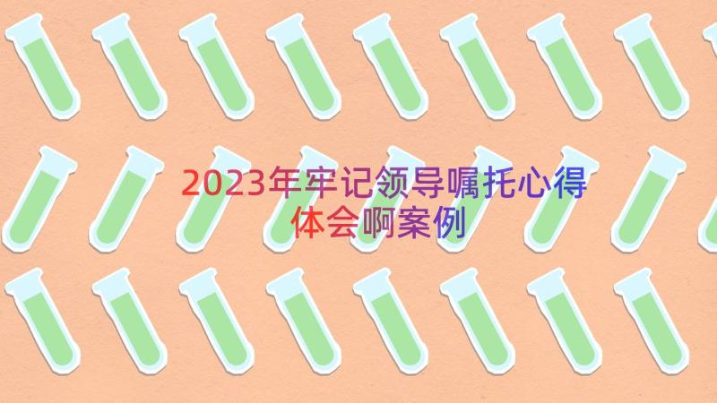 2023年牢记领导嘱托心得体会啊（案例14篇）