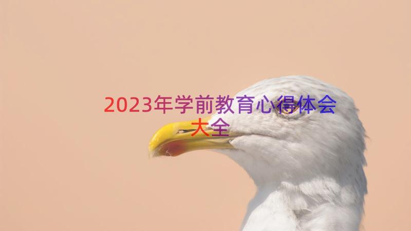 2023年学前教育心得体会大全（17篇）