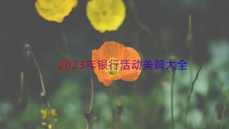 2023年银行活动美篇大全（13篇）