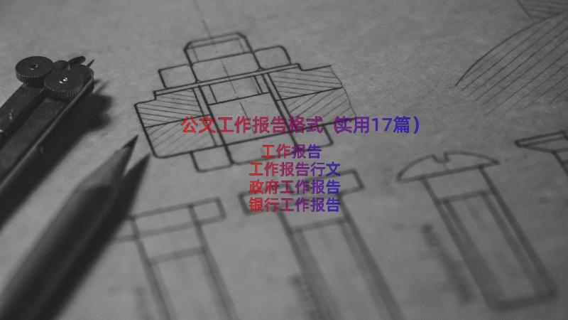 公文工作报告格式（实用17篇）