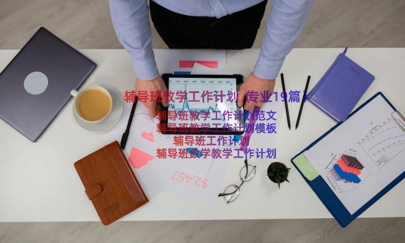 辅导班教学工作计划（专业19篇）