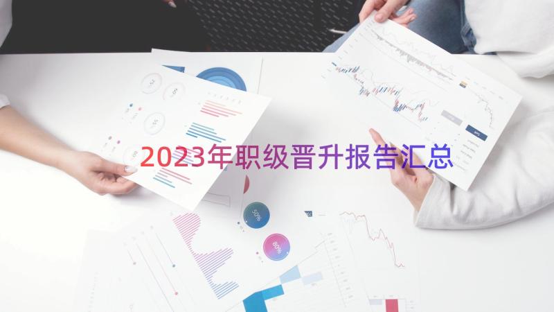 2023年职级晋升报告（汇总18篇）