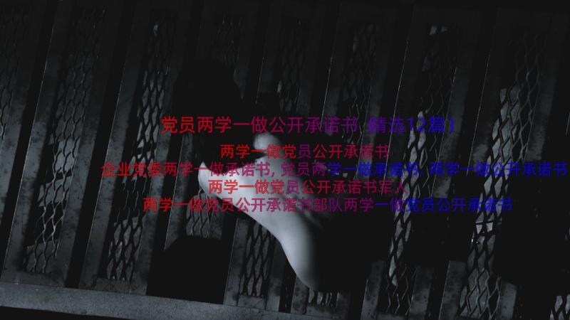 党员两学一做公开承诺书（精选12篇）