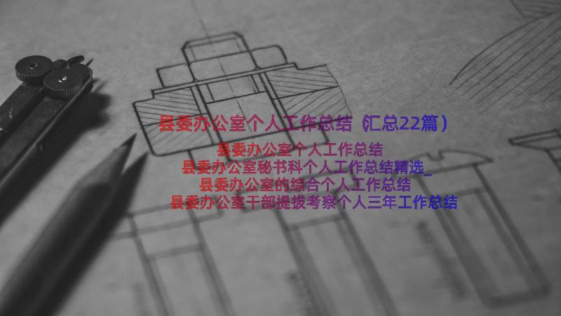 县委办公室个人工作总结（汇总22篇）