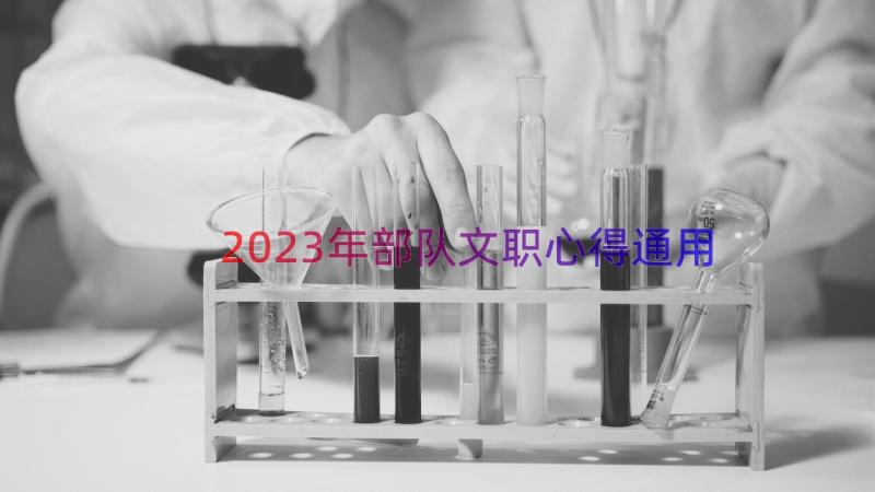 2023年部队文职心得（通用17篇）