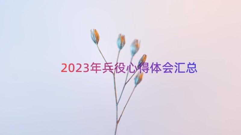 2023年兵役心得体会（汇总15篇）