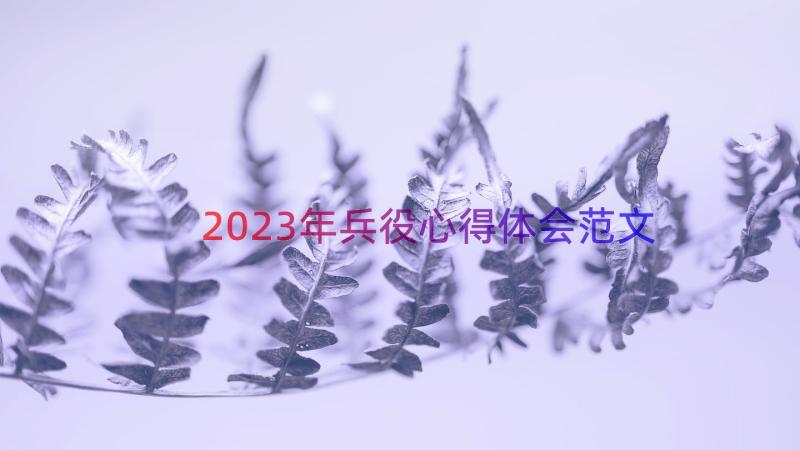 2023年兵役心得体会范文（16篇）