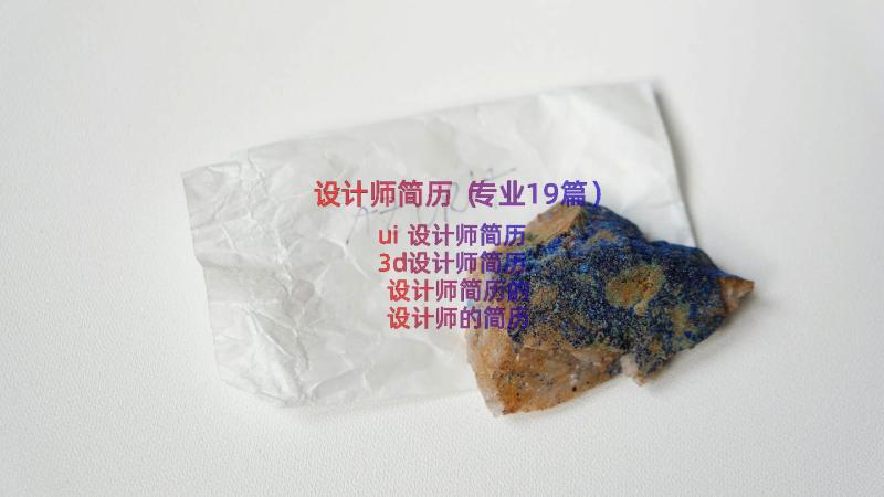 设计师简历（专业19篇）