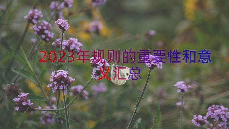 2023年规则的重要性和意义（汇总14篇）