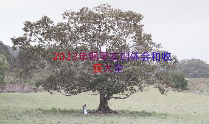 2023年钢琴实训体会和收获大全（20篇）