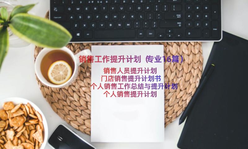 销售工作提升计划（专业16篇）