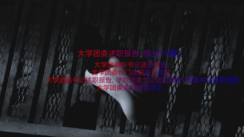 大学团委述职报告（专业19篇）