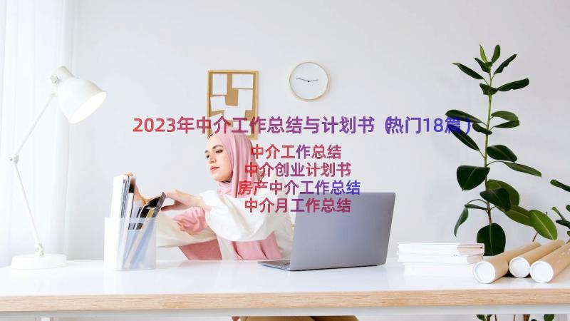 2023年中介工作总结与计划书（热门18篇）