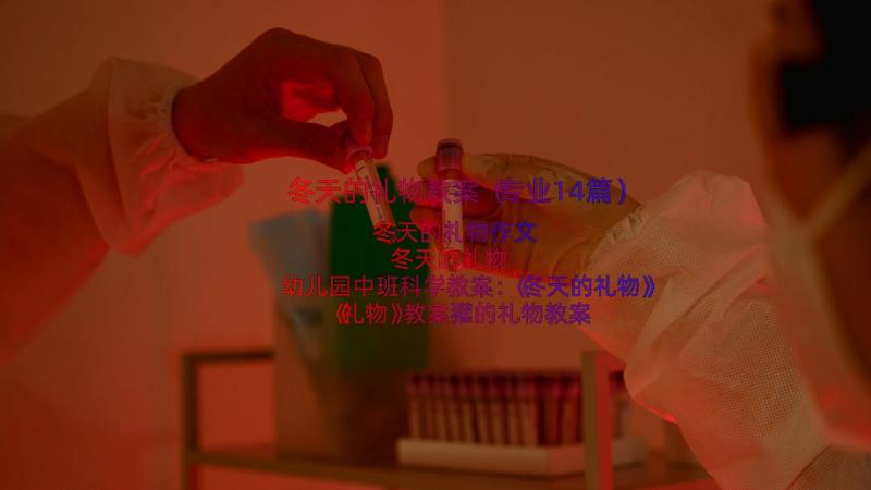 冬天的礼物教案（专业14篇）