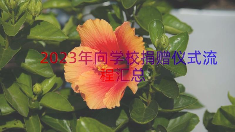 2023年向学校捐赠仪式流程（汇总13篇）