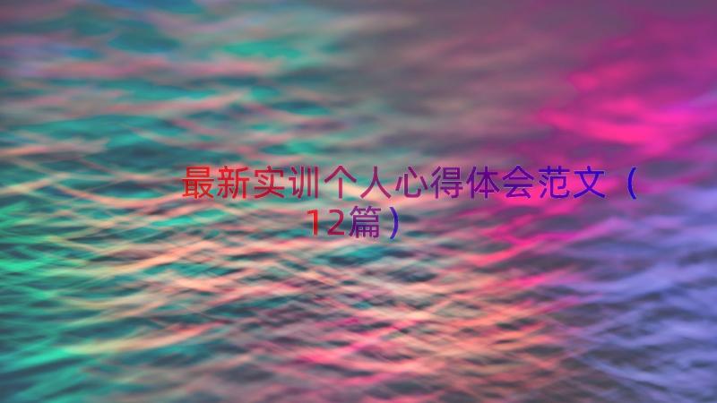 最新实训个人心得体会范文（12篇）