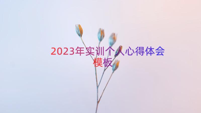 2023年实训个人心得体会（模板15篇）