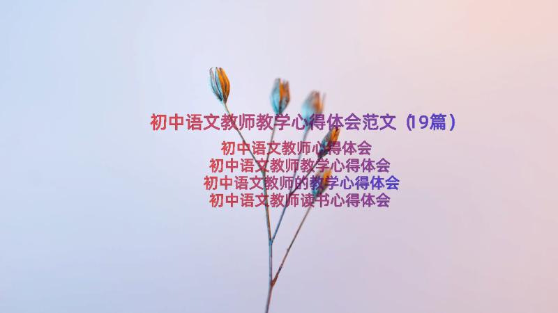 初中语文教师教学心得体会范文（19篇）