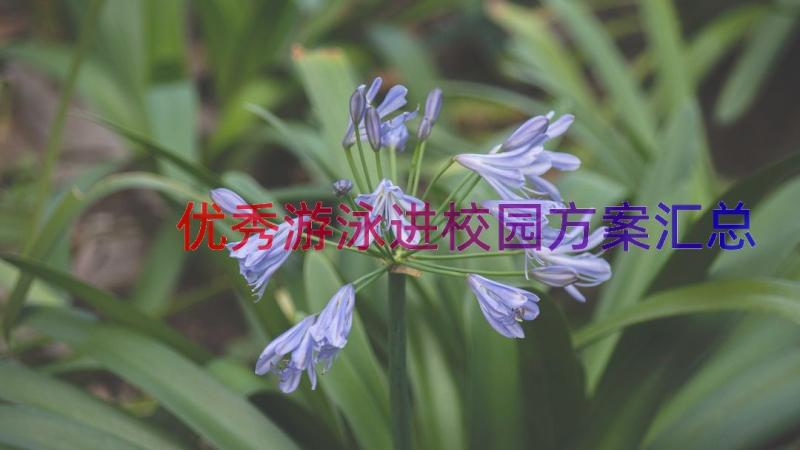 优秀游泳进校园方案（汇总12篇）