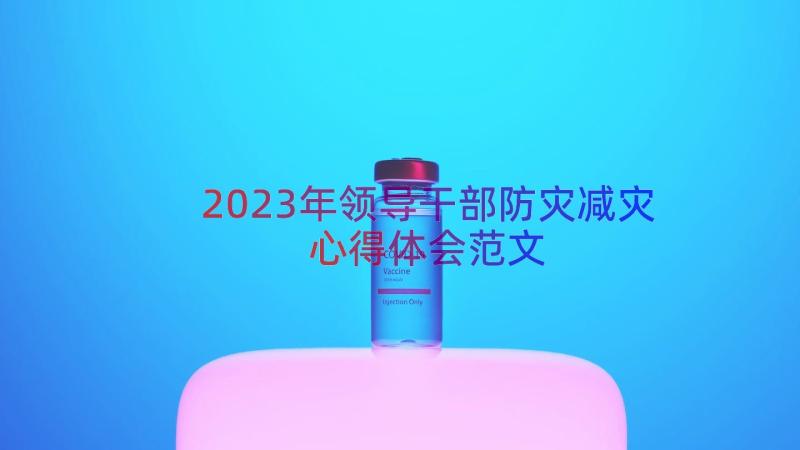 2023年领导干部防灾减灾心得体会范文（14篇）