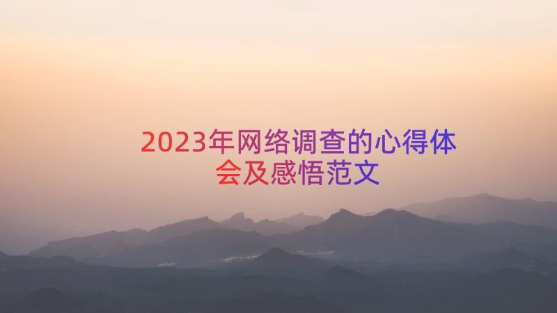 2023年网络调查的心得体会及感悟范文（18篇）