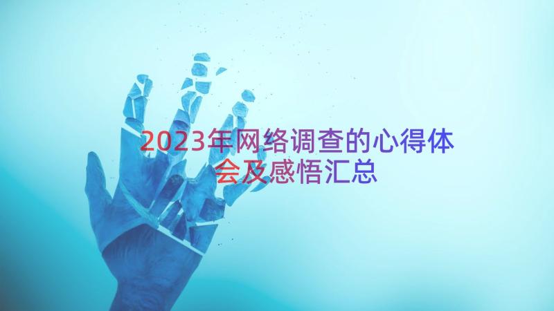 2023年网络调查的心得体会及感悟（汇总21篇）