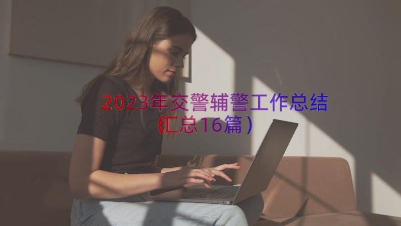 2023年交警辅警工作总结（汇总16篇）