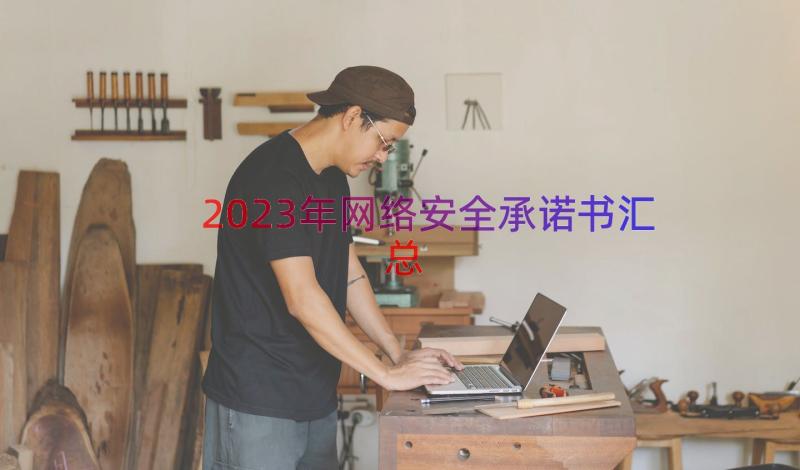 2023年网络安全承诺书（汇总15篇）