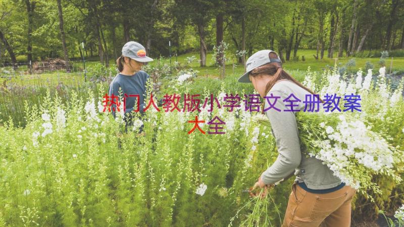 热门人教版小学语文全册教案大全（15篇）