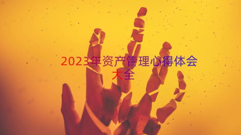 2023年资产管理心得体会大全（14篇）