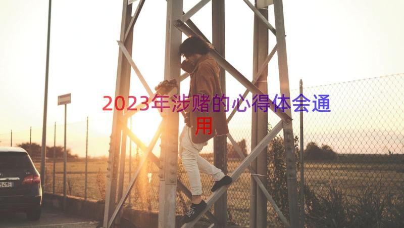 2023年涉赌的心得体会（通用20篇）