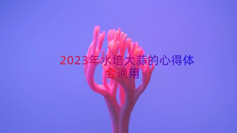 2023年水培大蒜的心得体会（通用18篇）